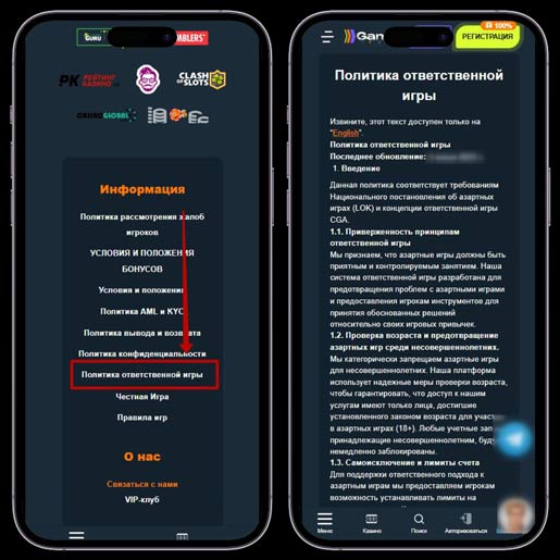 Политика ответственной игры